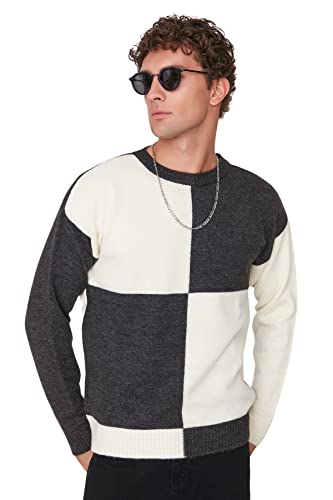 Trendyol Męska bluza z okrągłym dekoltem Colorblock Regular sweter, Ecru, L, Ecru, L