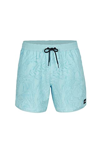 O'NEILL Scallop Ocean Swim Shorts Swim Spodenki męskie, 35048 Blue Topaz Comic Seaweed, Regularny, 35048 Blue Topaz Comic Seaweed, M-L