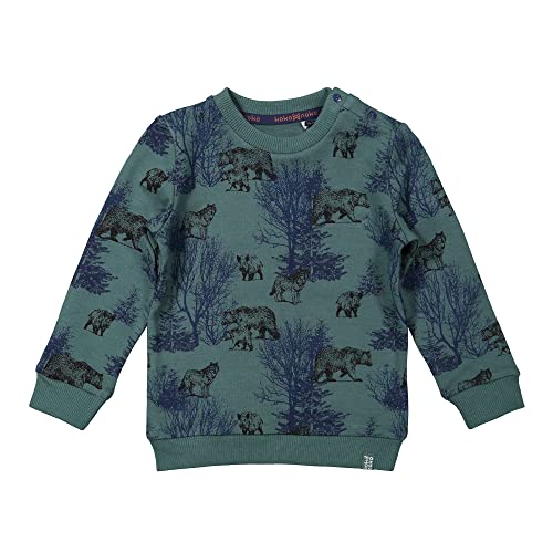 Koko Noko Bluza chłopięca, zielony, 0 miesięcy