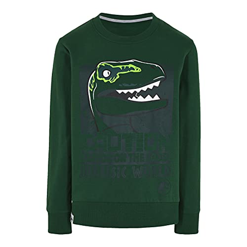 LEGO Bluza chłopięca Jurassic World