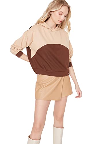 Trendyol Damska bluza z kapturem Colorblock Regular Bluza, Brązowa, S, Brązowy