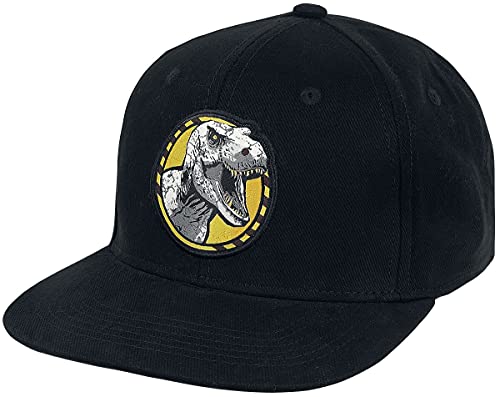 Difuzed Jurassic Park Cap męska czapka czarna 100% bawełna fan-merch, filmy
