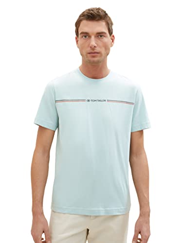 T-shirt męski TOM TAILOR z nadrukiem w paski i logo, 30463-zgaszony miętowy błękit, XL
