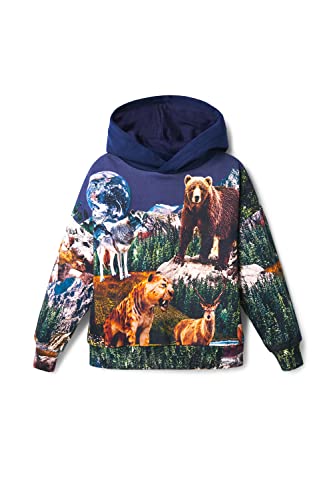Desigual Bluza chłopięca, niebieski, S