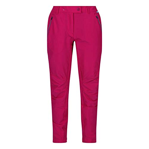 Regatta Spodnie damskie WMS Highton TRS, Dark Cerise, L