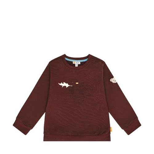 Steiff Chłopięca bluza Mini Dragon´s Fire, Andora, 104
