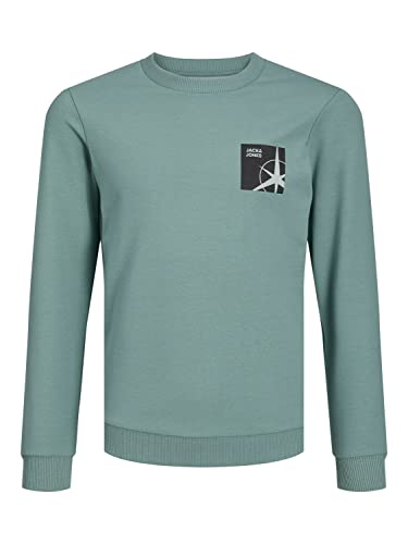Jack & Jones Junior Bluza chłopięca Jcofilo Sweat Crew Neck Sn Jnr, Trellis, 176