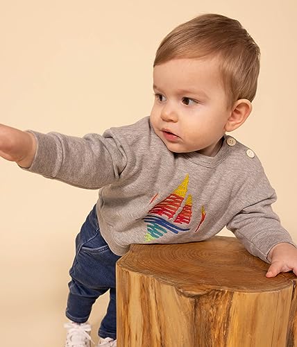 Petit Bateau Baby chłopięca bluza A08QP, szara Chaton Chine, 36 miesięcy, Szary Chaton Chine, 3 lat