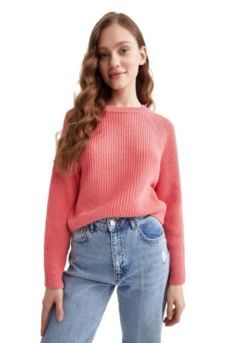 DeFacto Sweter normalny krój dla kobiet – sweter z golfem dla topów damski (różowy, L), Rosa, L