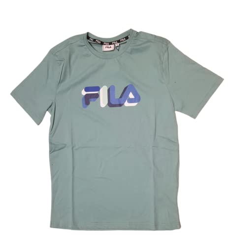 FILA Męski t-shirt BLUNK Regular Graphic (Beryl Green), L, zielony (Beryl Green), L