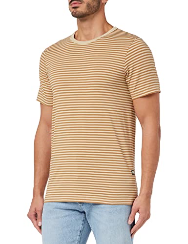 G-STAR RAW Męski T-Shirt Stripe Slim R T, Wielokolorowy (Postbag/Chipmunk Stripe D22778-c339-d955), S