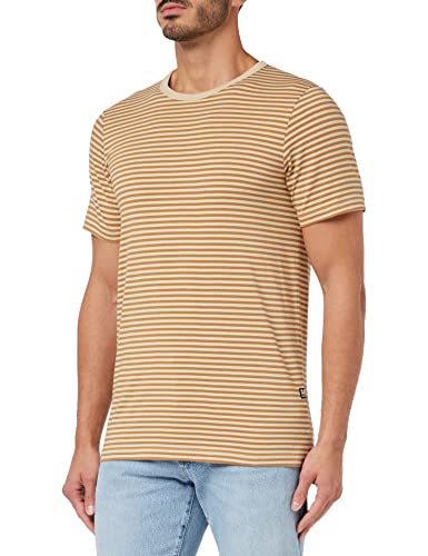 G-STAR RAW Męski T-Shirt Stripe Slim R T, Wielokolorowy (Postbag/Chipmunk Stripe D22778-c339-d955), L