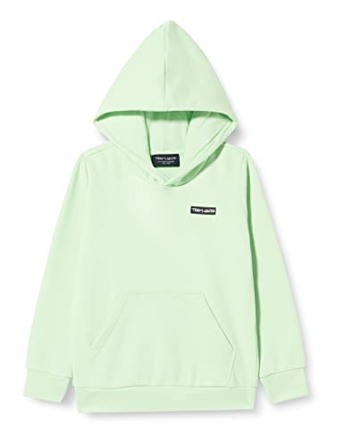Teddy Smith chłopięca bluza z kapturem S-nark Jr, Patina Green, 10 Lat