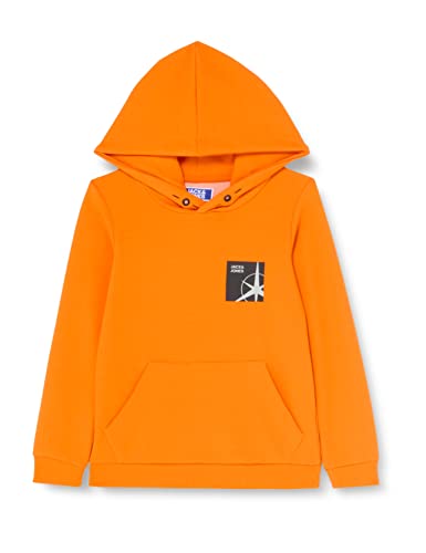 JACK & JONES Bluza chłopięca Jcofilo Sleeveprint Sweat Hood Sn Jnr, Exuberance, 164