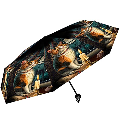 Nemesis Now Parasol Adventure Awaits (LP), wielokolorowy, 55 cm