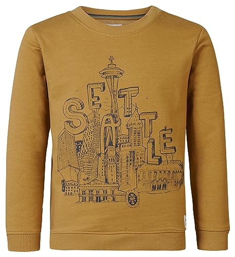 Noppies Kids Bluza chłopięca Woodbine z długim rękawem, Bistre - P671, 134