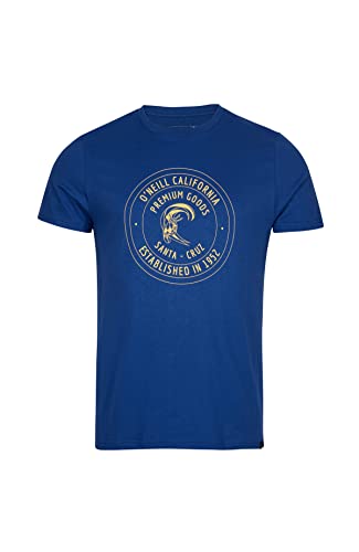 O'Neill Męski T-shirt z krótkimi rękawami, Explore podkoszulek (opakowanie 4 szt.), 15013 Surf The Web niebieski, S-M