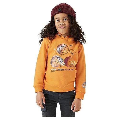 Garcia Kids Bluza chłopięca, Tygrys (6995), 128