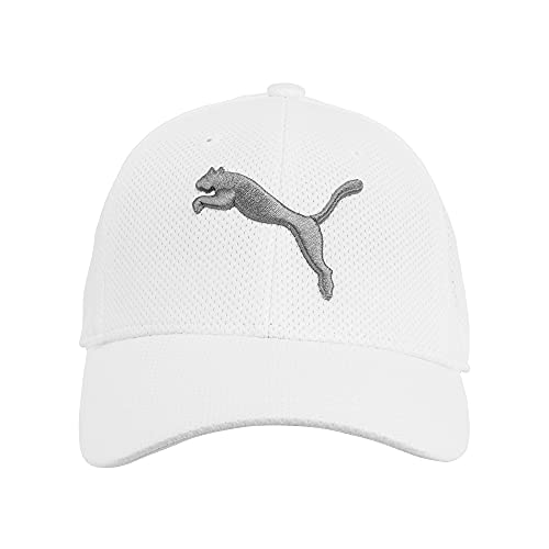 PUMA Męska czapka Evercat ze stopu Stretch Fit Baseball, biały, L-XL