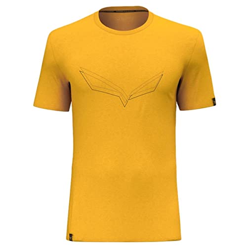 Salewa Pure Eagle Frame Dry T-shirt męski, złoty, L, złoto, L