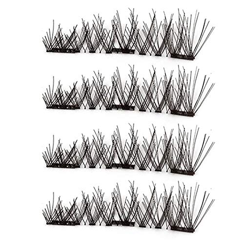 Wrangler Koszulka męska western, Bayberry Green, S