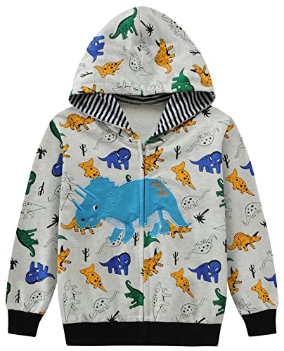 Mała ręka bluza chłopięca z kapturem z zamkiem błyskawicznym dla chłopca dinozaur wiek 3-4 lata, Dinozaur 3