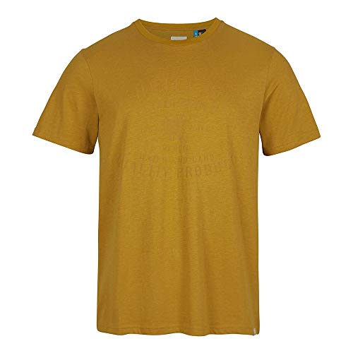 O'Neill Lm Established T-Shirt męski podkoszulek, brązowy, XL