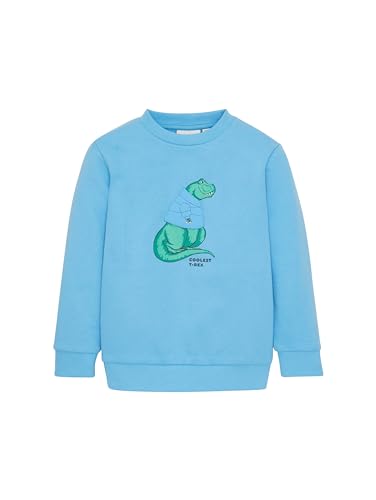 TOM TAILOR Bluza dziecięca dla chłopców, 18395 - Rainy Sky Blue, 116-122
