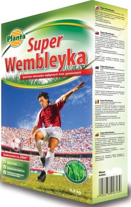 Nasiona traw WEMBLEYKA Planta 0,5kg