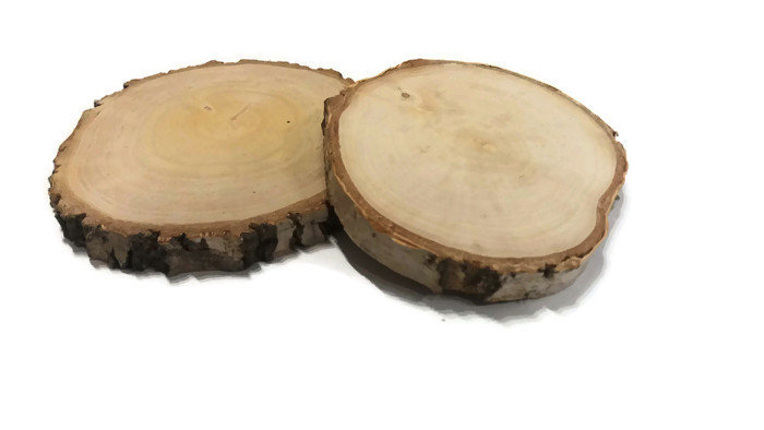 Plaster Drewna Brzoza Szlifowana 14-17 Cm / 2 Cm