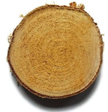 Plaster drewna Brzoza nieszlifowana 8-10 cm / 1 cm