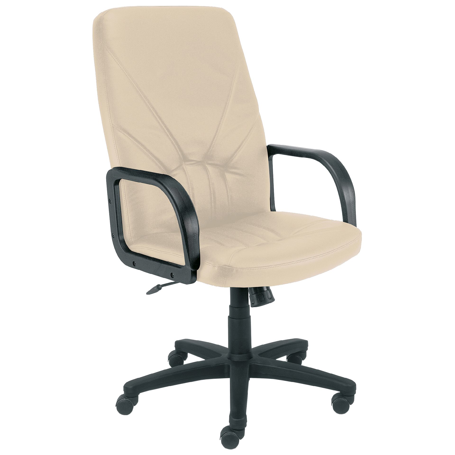 Fotel Obrotowy Gabinetowe Manager TS06 Nowy Styl