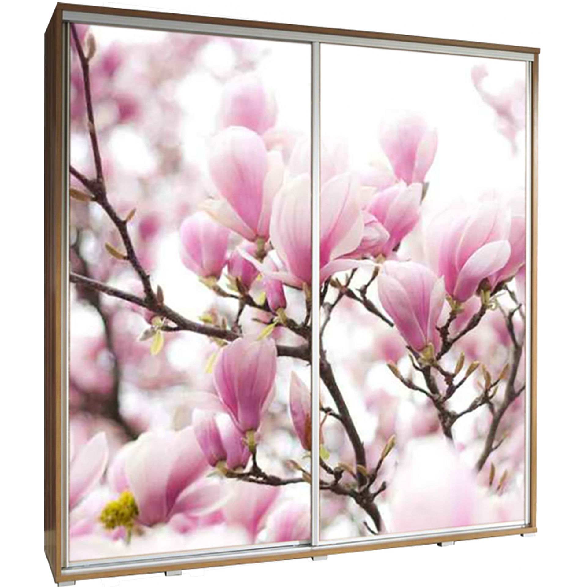 Szafa 205 z Grafiką Wiśnia Penelopa Maridex Biały Mat