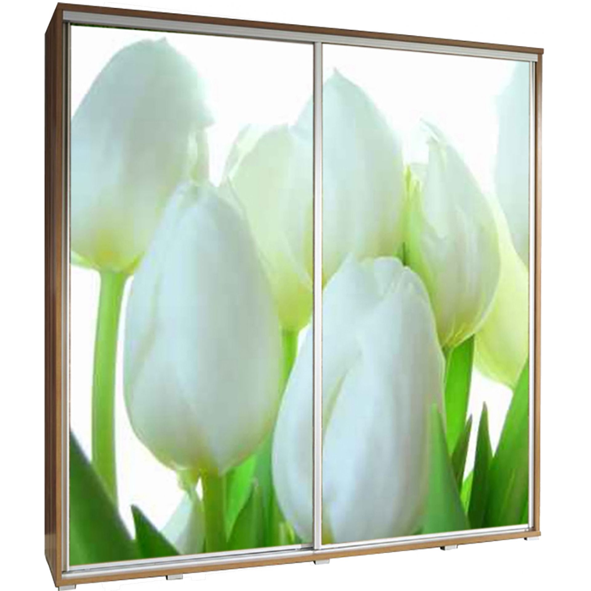 Szafa 205 z Grafiką Tulipany Penelopa Maridex Dąb Catania