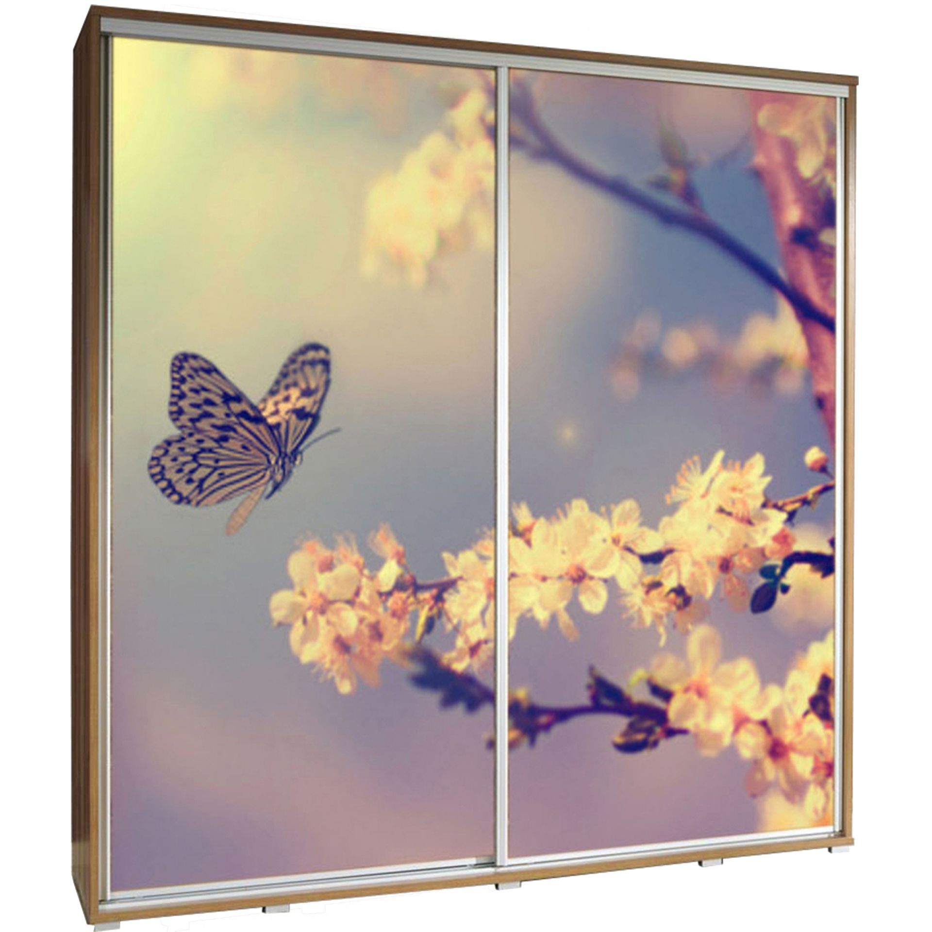 Szafa 205 z Grafiką Motyl 2 Penelopa Maridex Biały Mat