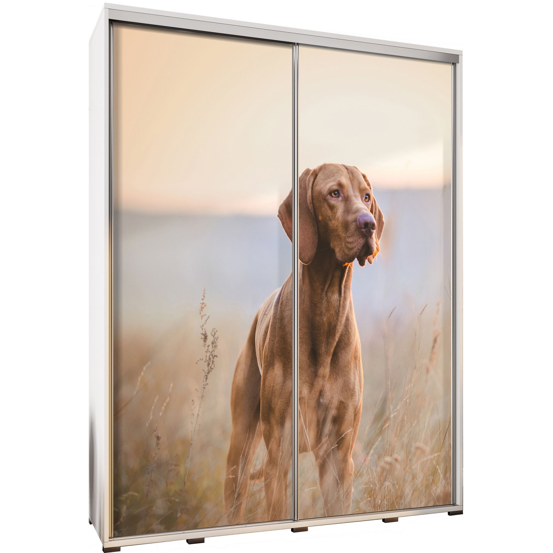 Szafa 155 z Grafiką Pies Penelopa Maridex Dąb Catania