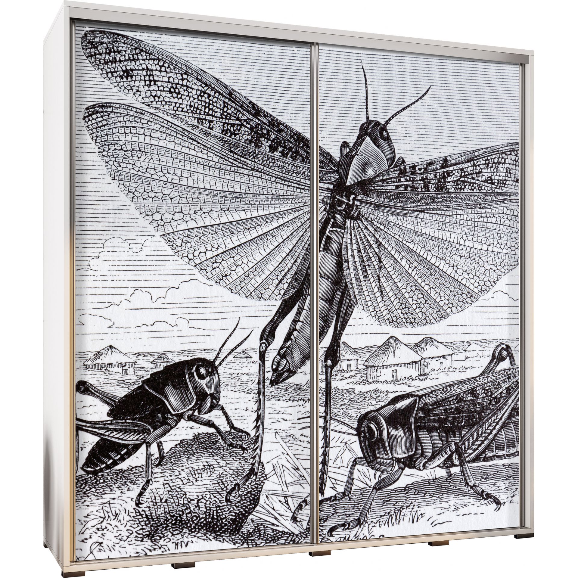 Szafa 205 z Grafiką Insects Penelopa Maridex Dąb Artisan