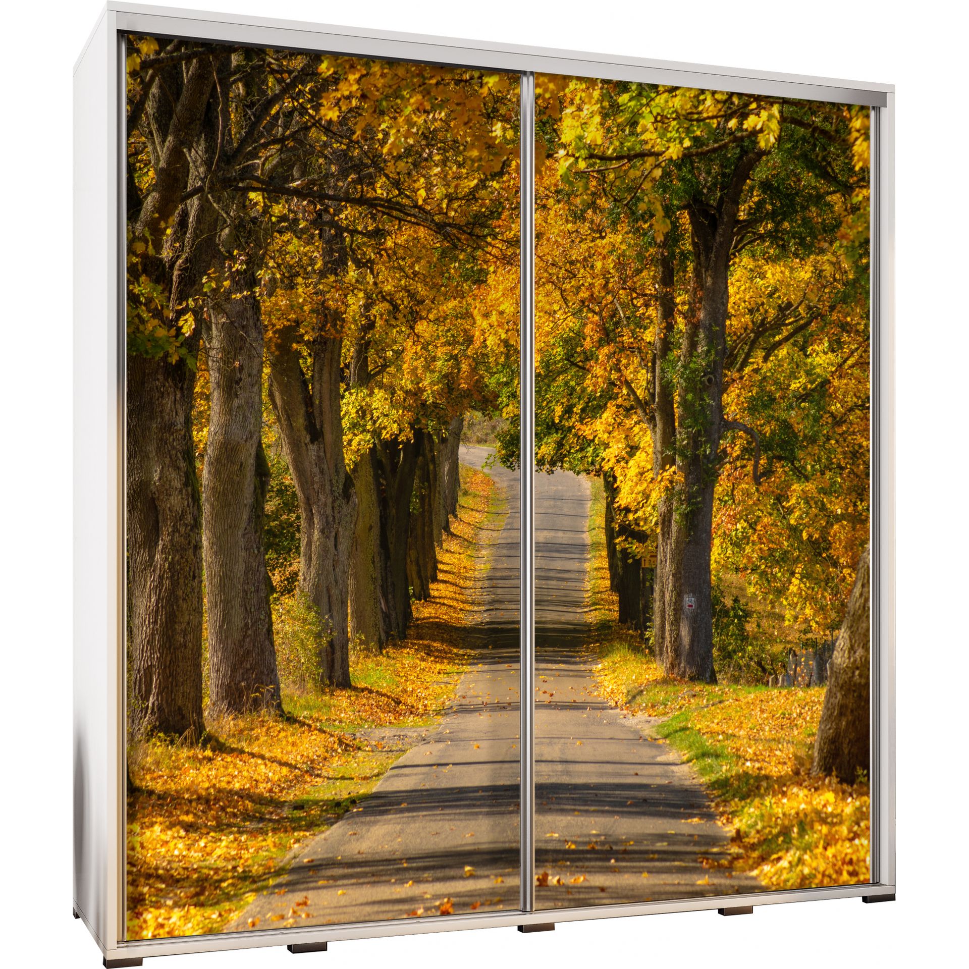 Szafa 205 z Grafiką Jesień Penelopa Maridex Biały Mat