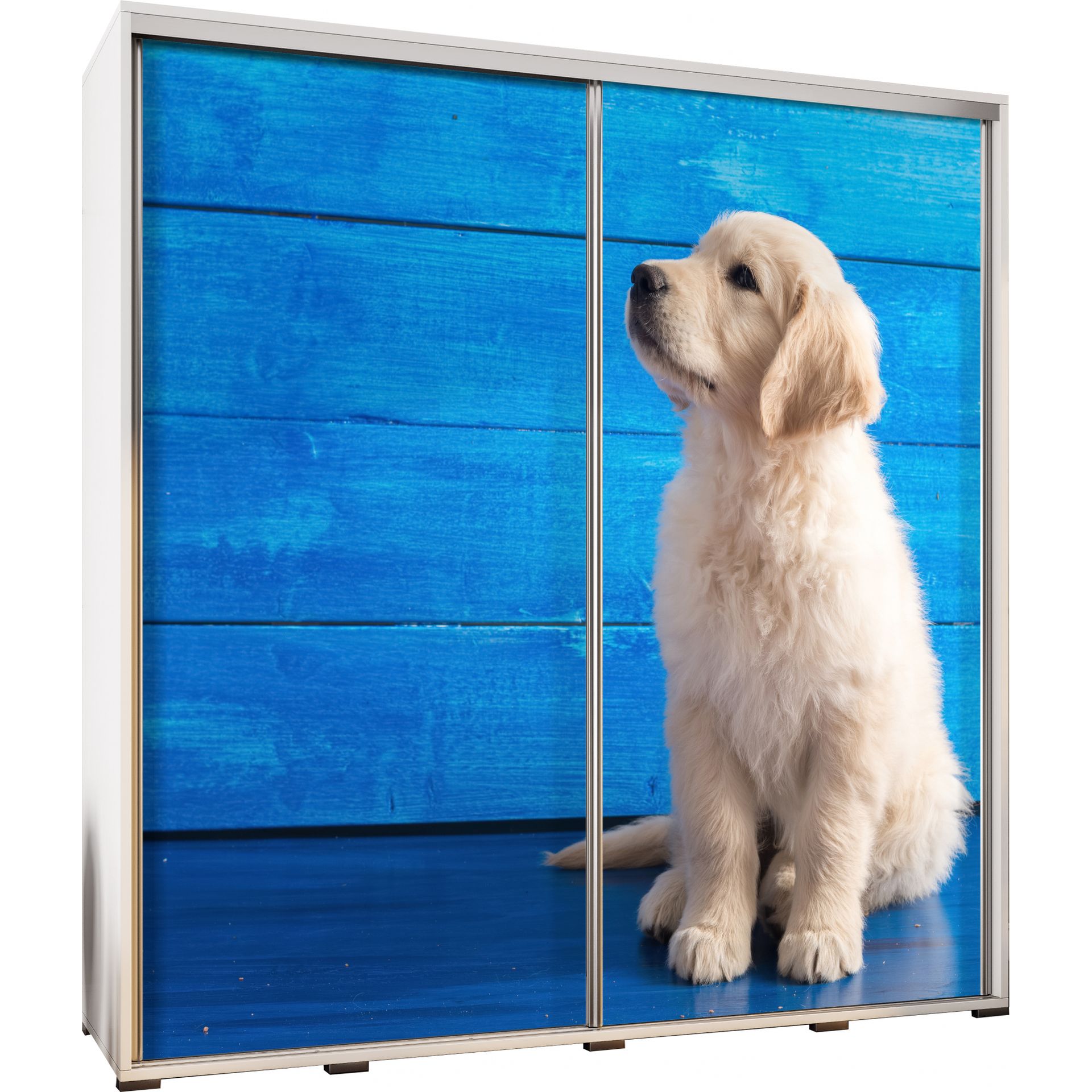 Szafa 205 z Grafiką Mały Golden Penelopa Maridex Biały Mat