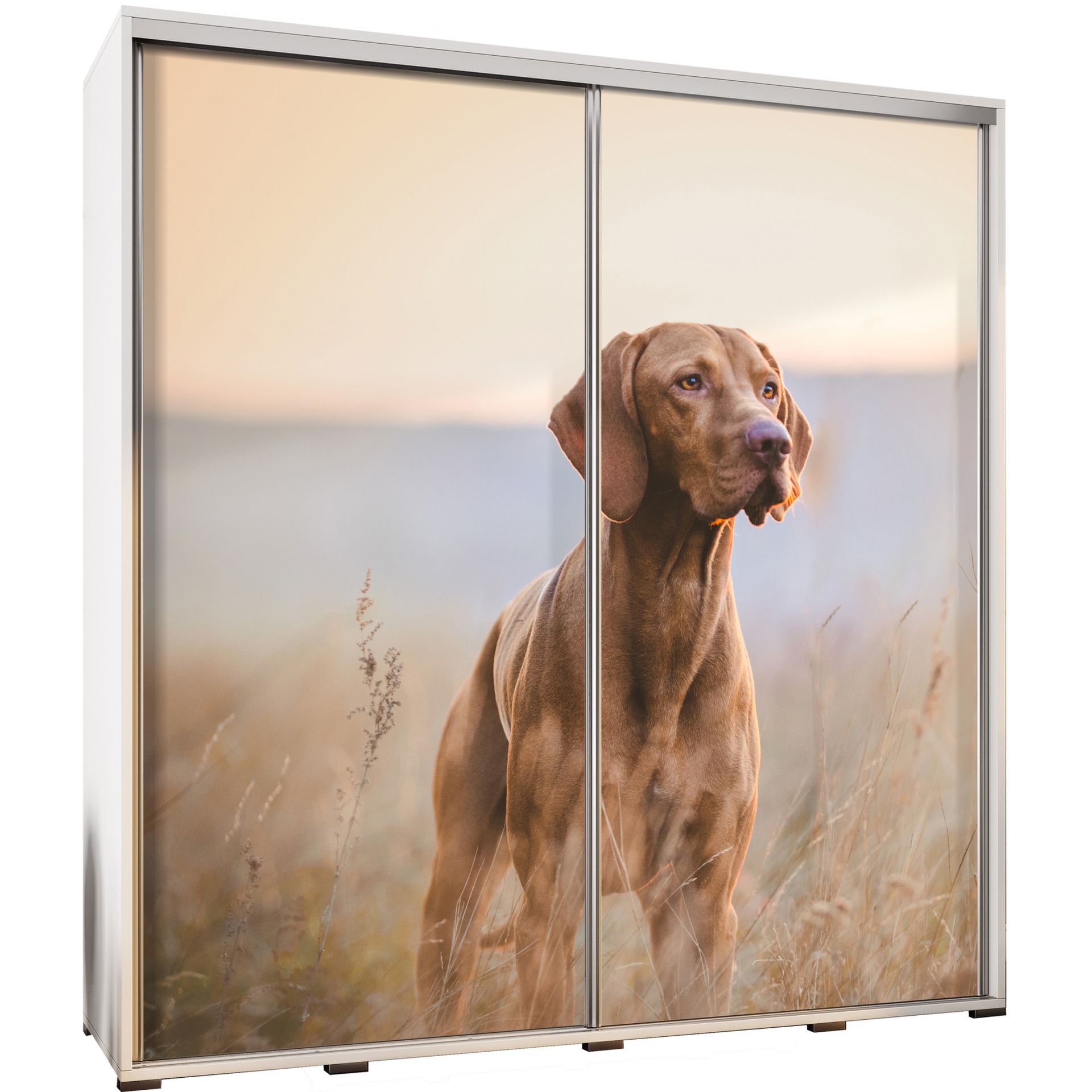 Szafa 205 z Grafiką Pies Penelopa Maridex Dąb Artisan