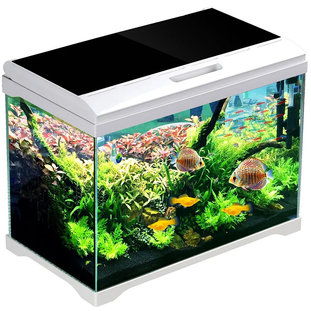 SUNSUN SUPREME AQUAPLANT 19L - ZESTAW AKWARIUM SŁODKOWODNE