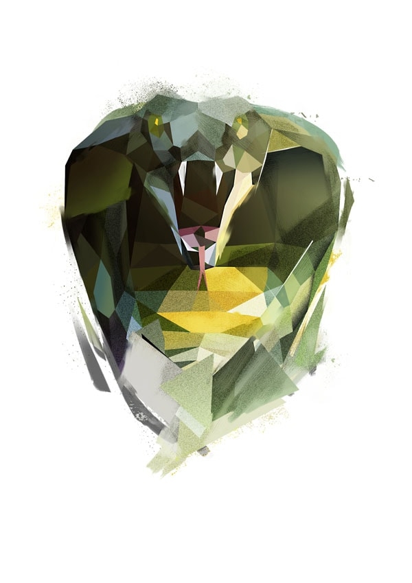 Kobra - plakat Wymiar do wyboru: 42x59,4 cm