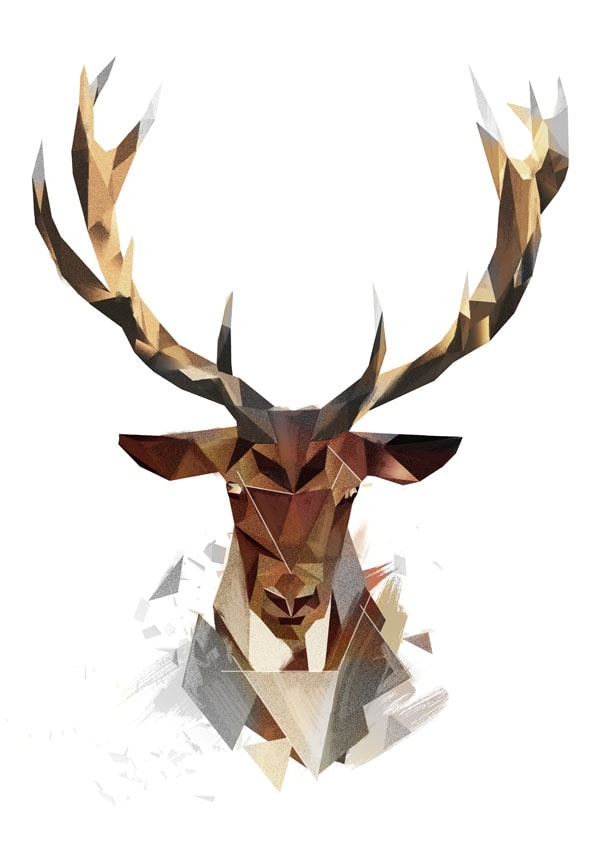 Jeleń - plakat Wymiar do wyboru: 70x100 cm