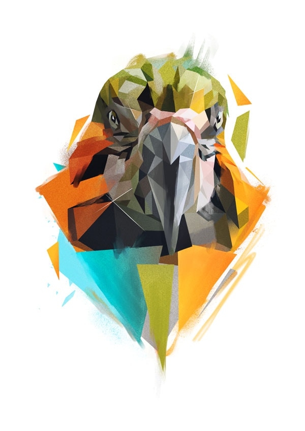 Papuga Ara - plakat Wymiar do wyboru: 21x29,7 cm