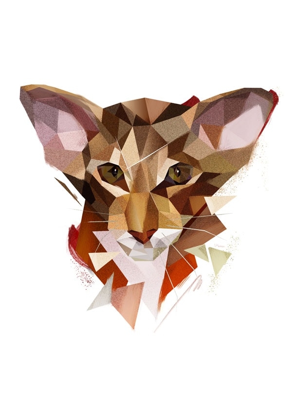 Kot - plakat Wymiar do wyboru: 30x40 cm