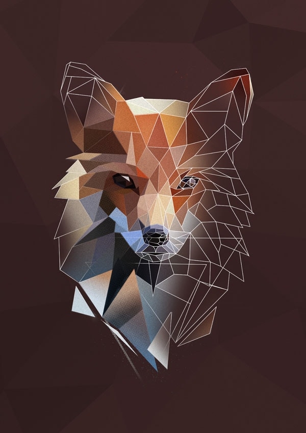 Lis szkic - plakat Wymiar do wyboru: 70x100 cm