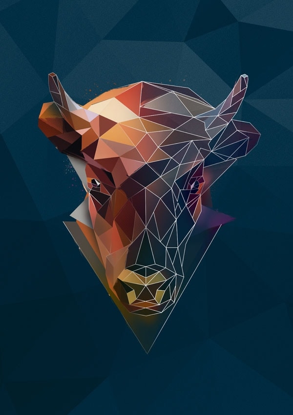 Żubr szkic - plakat Wymiar do wyboru: 60x80 cm