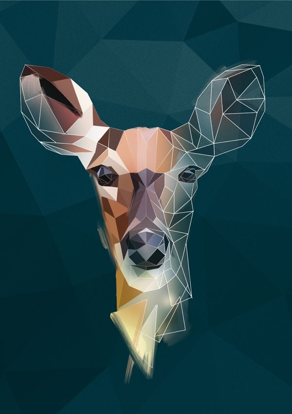 Sarna szkic - plakat Wymiar do wyboru: 59,4x84,1 cm