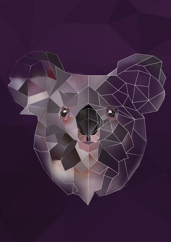 Koala - plakat Wymiar do wyboru: 40x50 cm