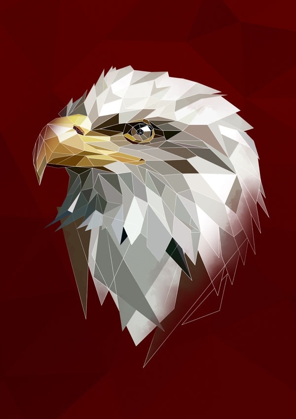 Orzel II ciemne tło - plakat Wymiar do wyboru: 40x50 cm